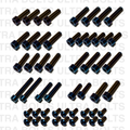 Surron Ultra Bee Standard Full Kit